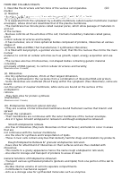 F1&2Bio Essays.doc